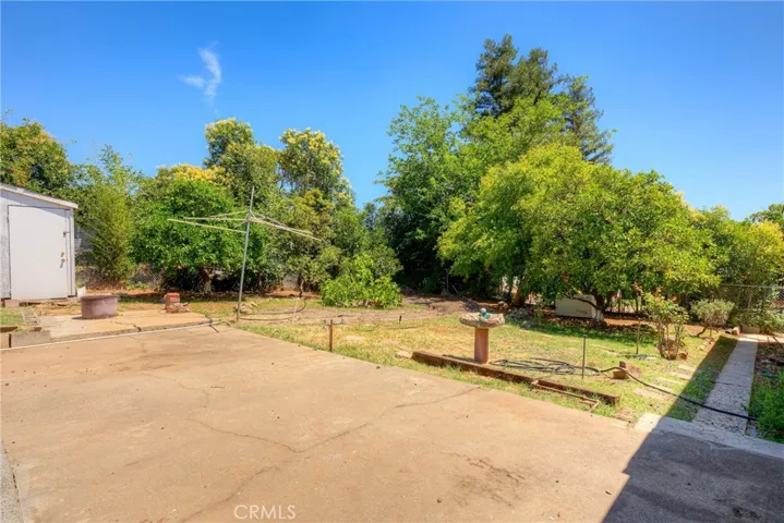Large back yard, pleanty of sun to garden!