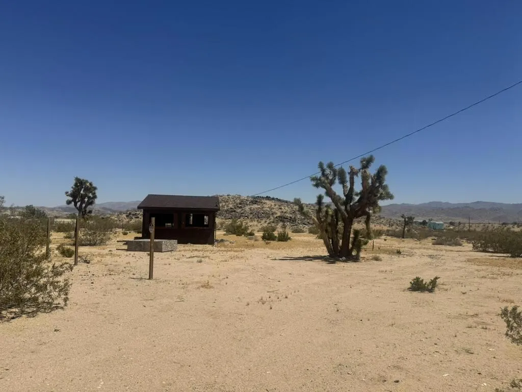 8D33EFCF-6A72-4041-9E0A-59FB4734B9AC_1_1