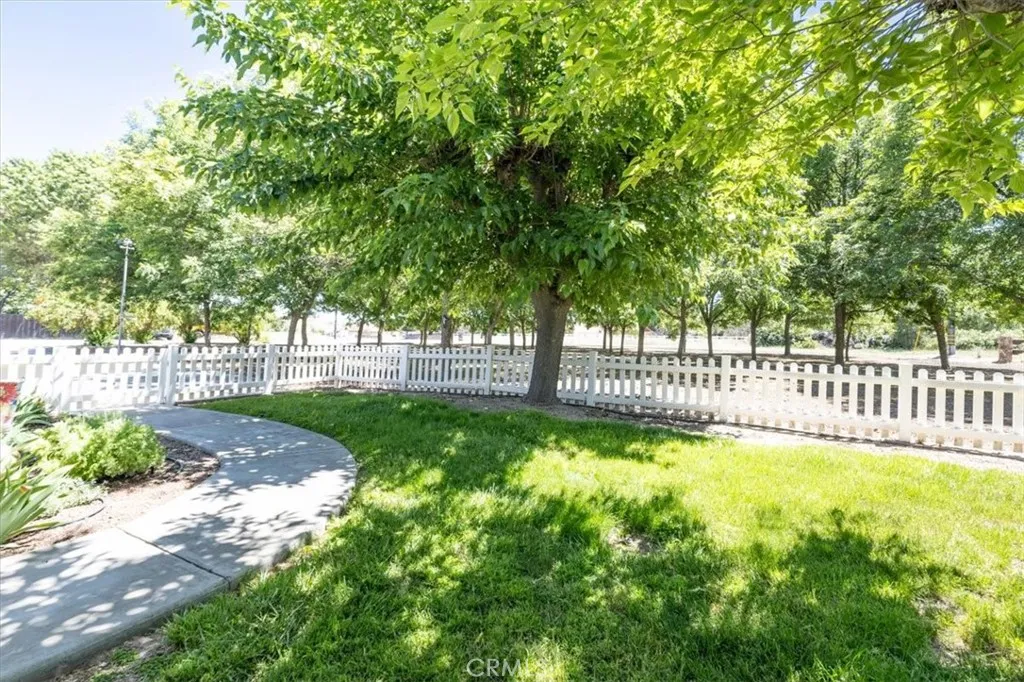 Front yard fenced in with orchard view!