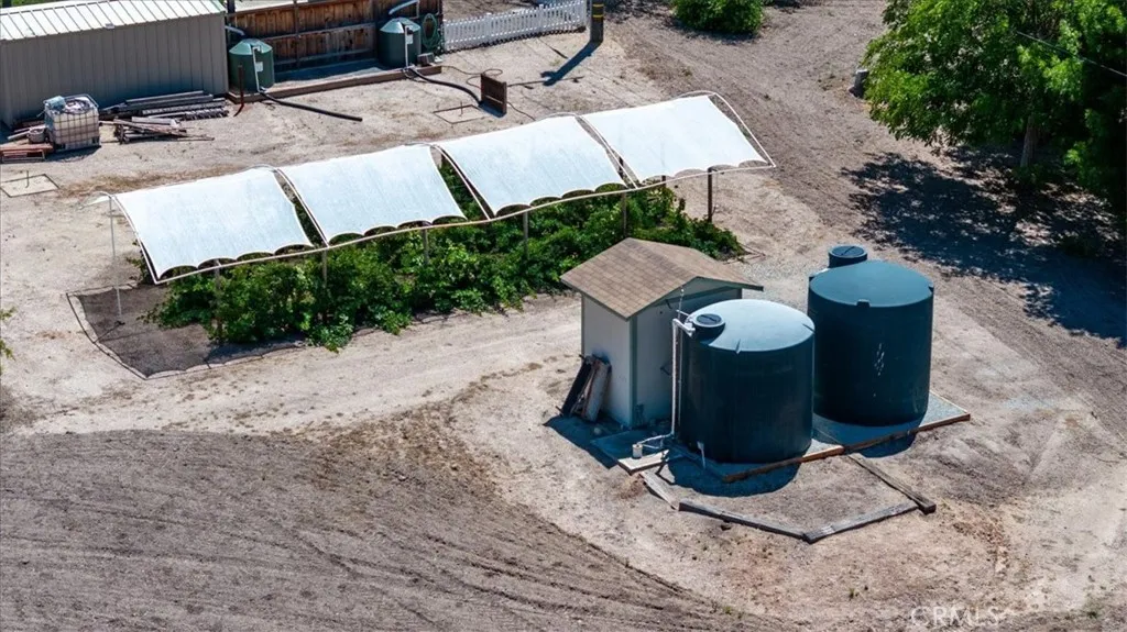 Berries and 2 wells