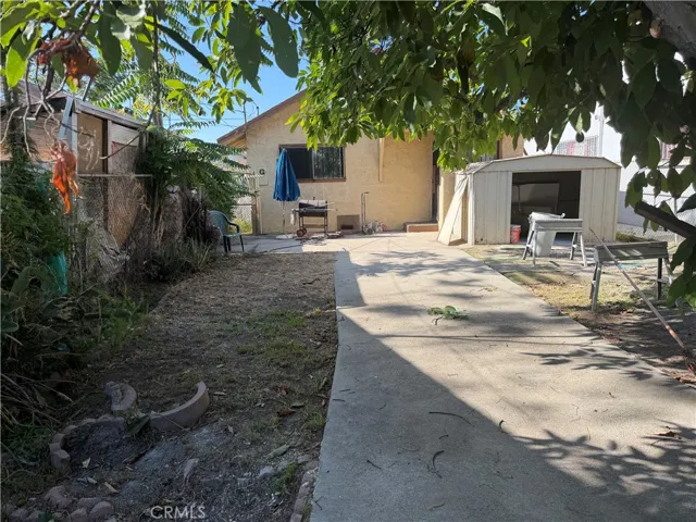 Backyard 1