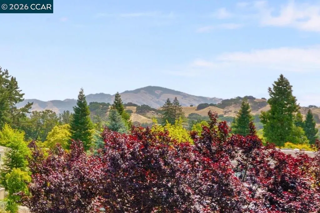 Picturesque Mt. Diablo Views from the living room & dining room.