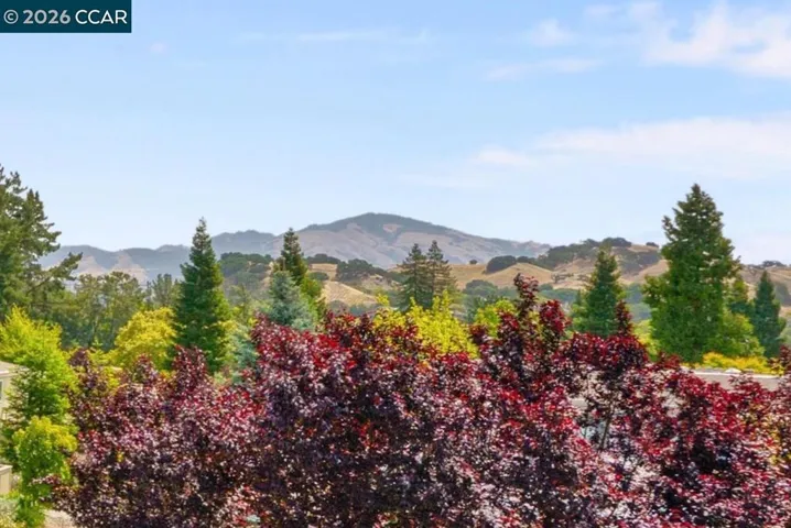 Picturesque Mt. Diablo Views from the living room & dining room.
