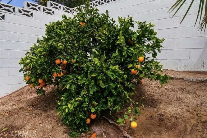 2919 E Landen, Camarillo, California 93010