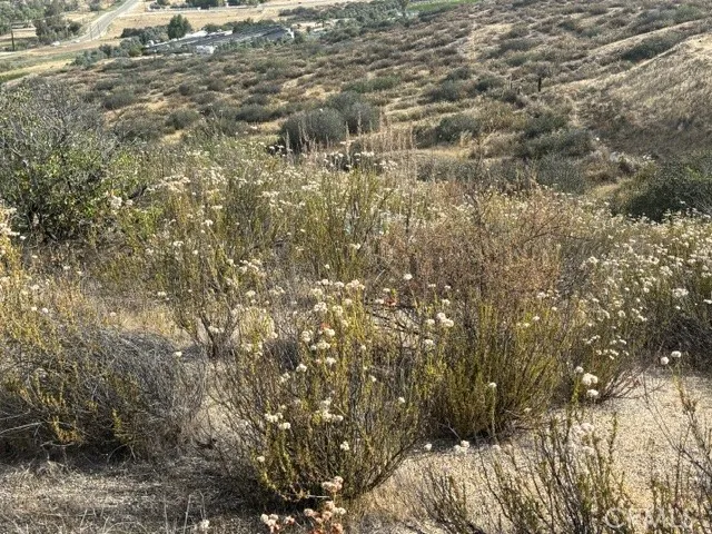 flat area