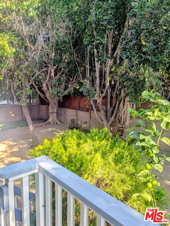 Shared Outdoor Space (view fro