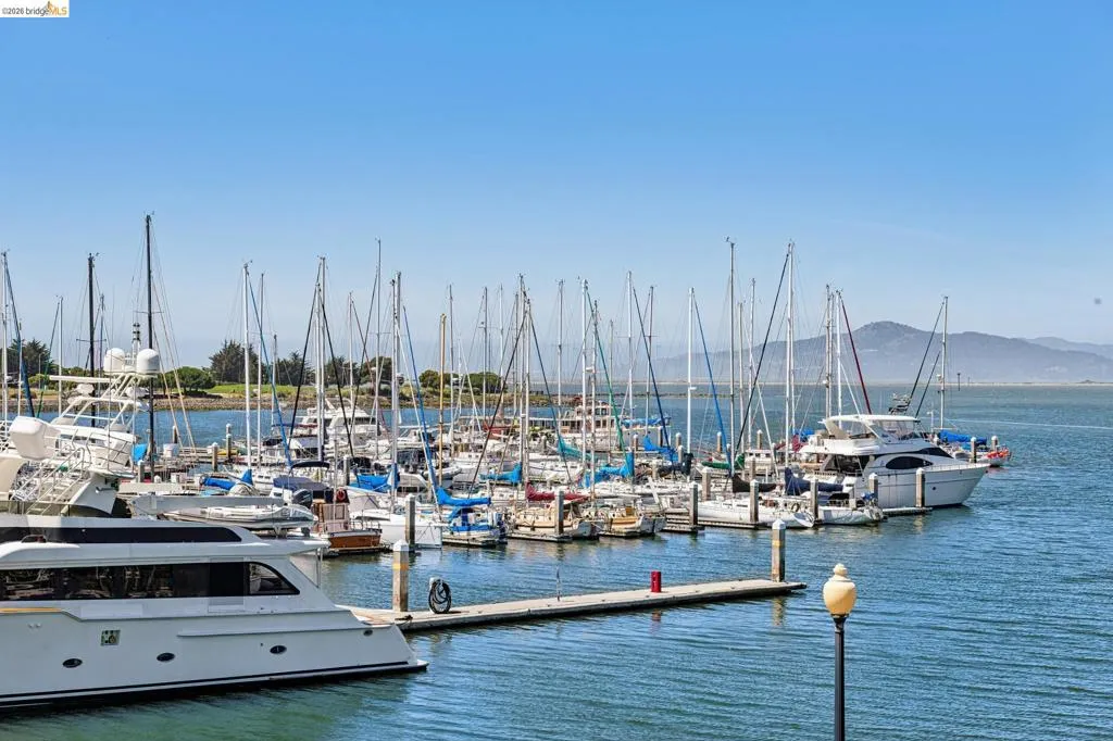 Marina featuring numerous docked boats and yachts