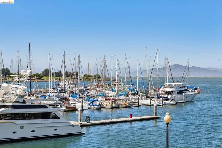 Marina featuring numerous docked boats and yachts