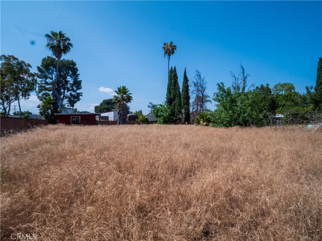 Backyard view