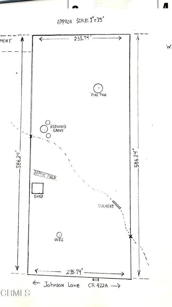 PLOT PLAN