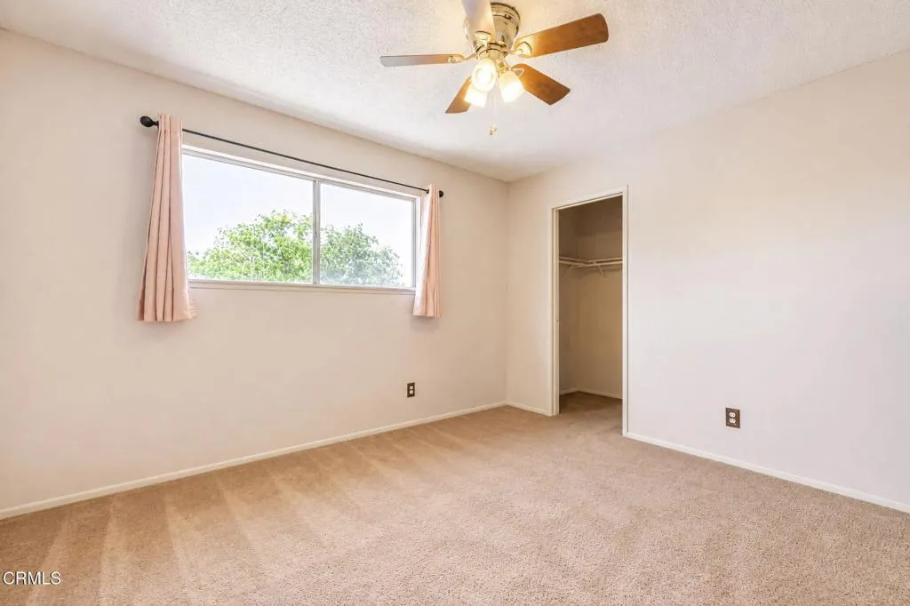 32-web-or-mls-19
