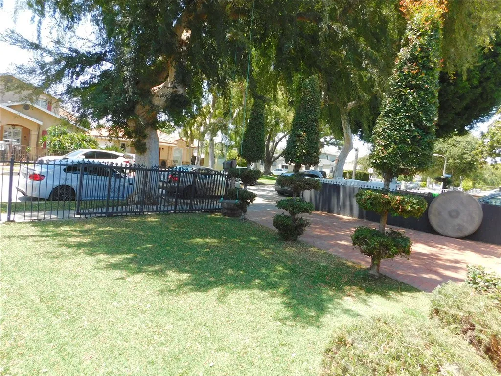 Front lawn 2