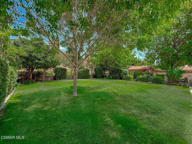 13842 Wheeler Ave - Backyard6 Green
