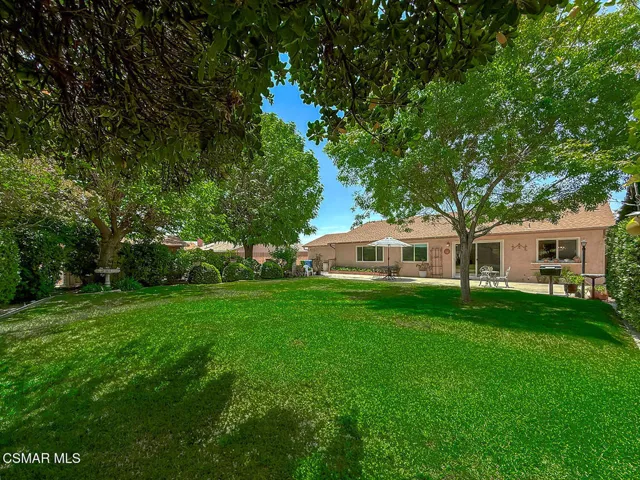 13842 Wheeler Ave - Backyard7 Green