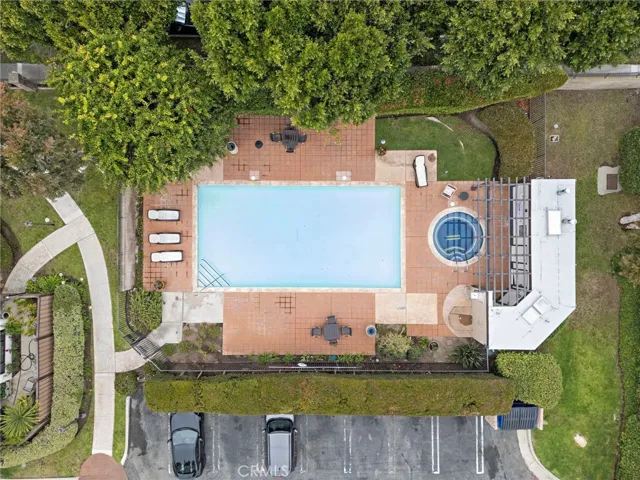 Pool and Spa