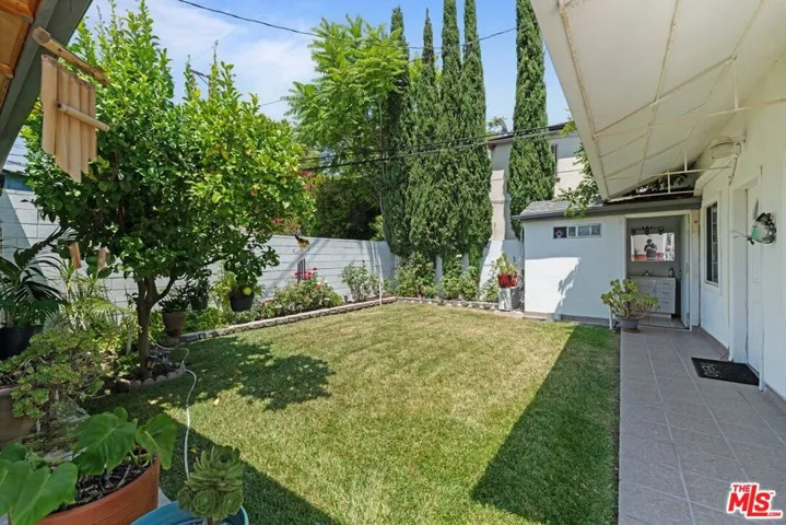 Back Yard Space
