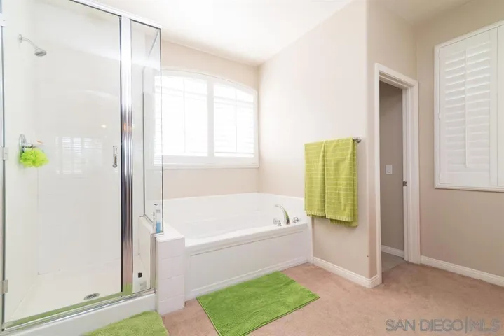 Primary Bath/Spa