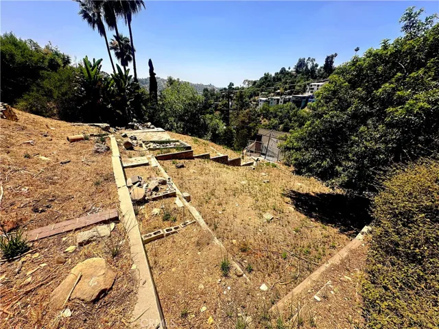 View looking down the slope of lot