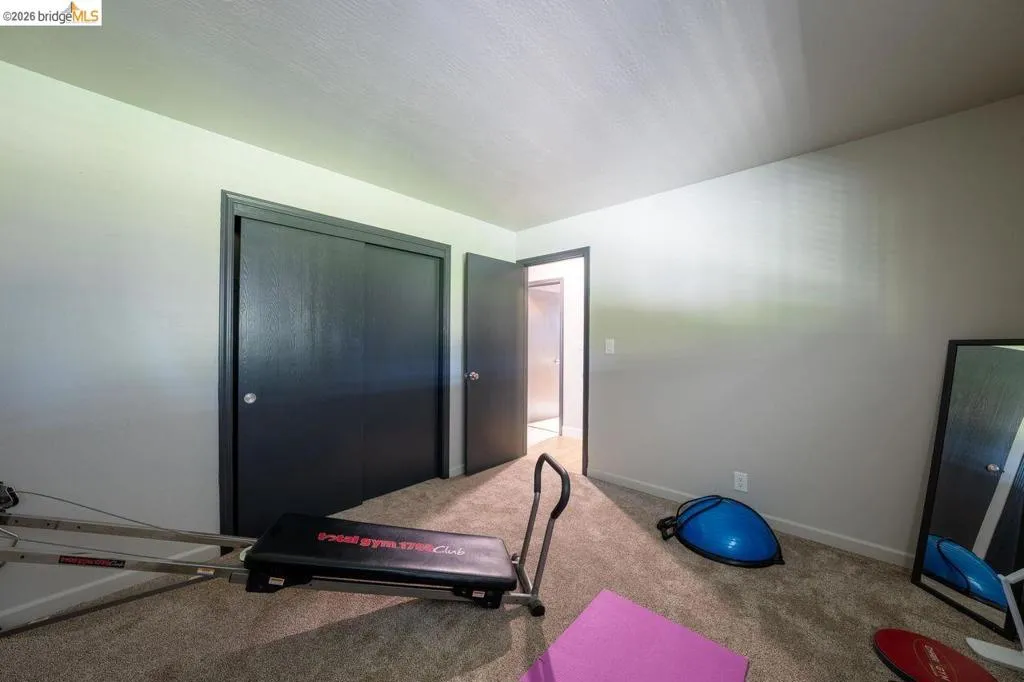 Room featuring neutral carpeting, light-colored walls, and dark trim