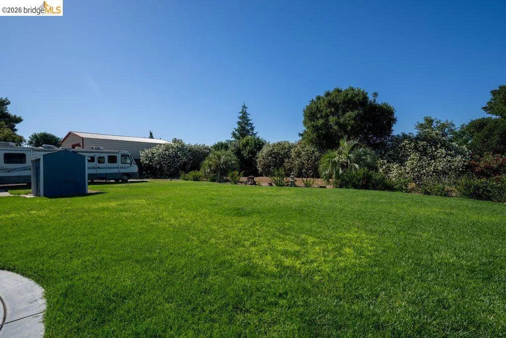 Expansive green lawn with mature perimeter landscaping and a concrete pathway section