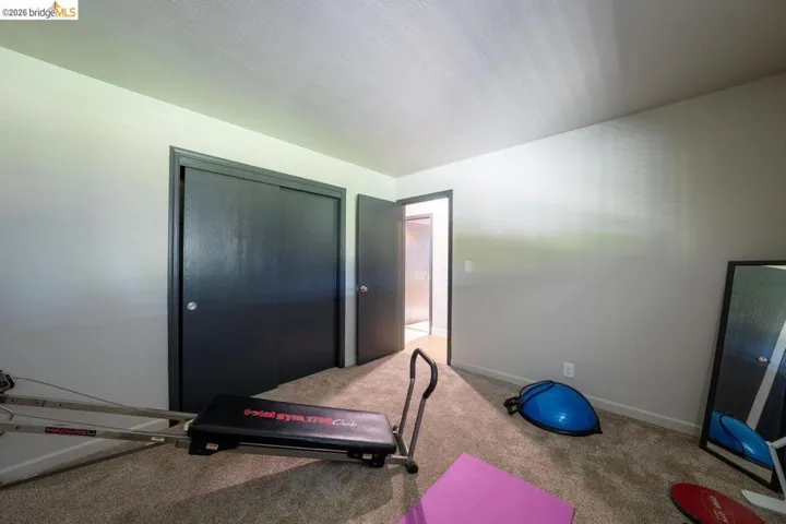 Room featuring neutral carpeting, light-colored walls, and dark trim