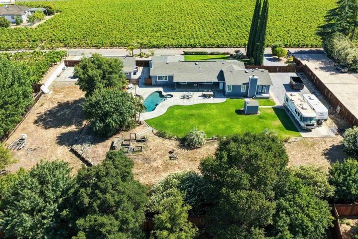 Expansive exterior featuring a blue-sided residence with a covered patio, a freeform swimming pool, and a manicured lawn