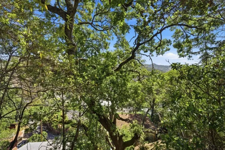 30 Fair Drive, San Rafael, California 94901