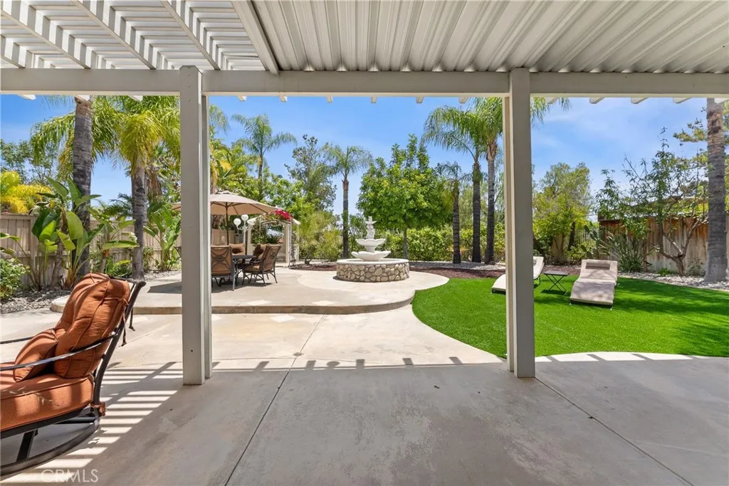 Looking out patio door.