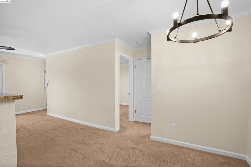Room featuring neutral carpet flooring and light-toned walls