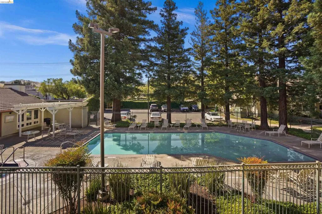 Rectangular swimming pool with surrounding lounge seating, a shaded patio area, and mature trees