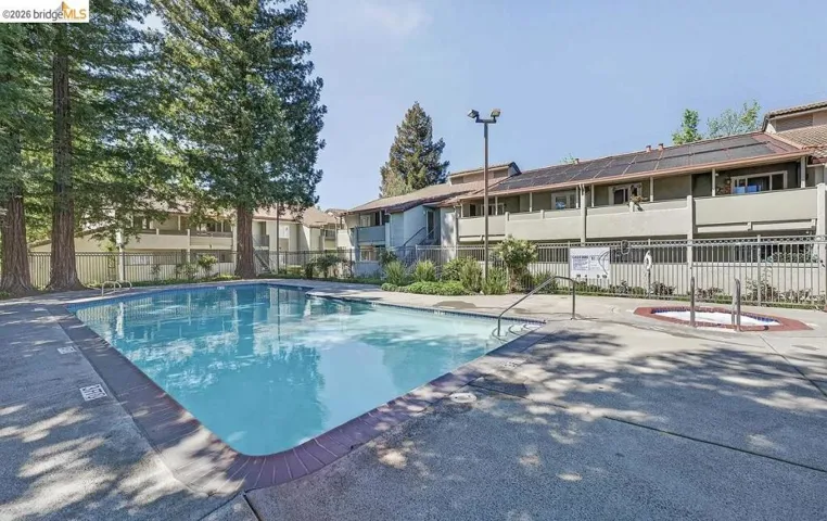 Community swimming pool with an integrated spa, surrounded by a concrete deck and metal fencing
