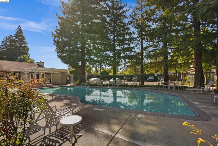 Outdoor swimming pool with a concrete surround, surrounded by mature trees