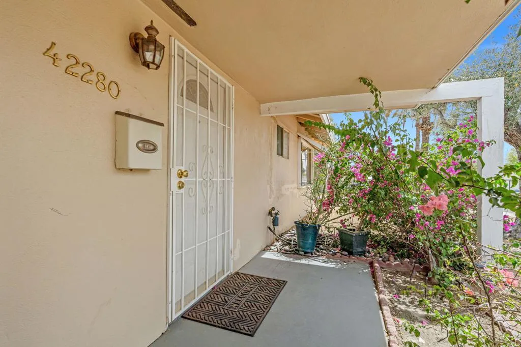 13-web-or-mls-DSC09704