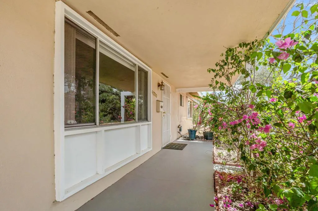 12-web-or-mls-DSC09699