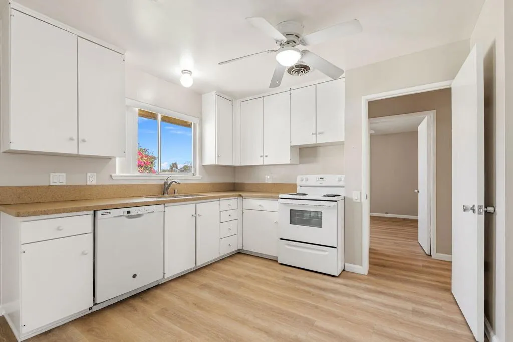 22-web-or-mls-DSC09590