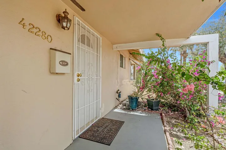 13-web-or-mls-DSC09704
