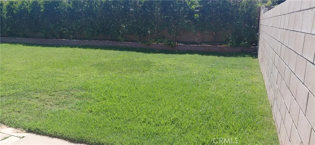 Rear yard