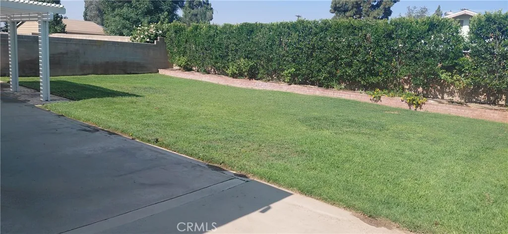 Rear yard