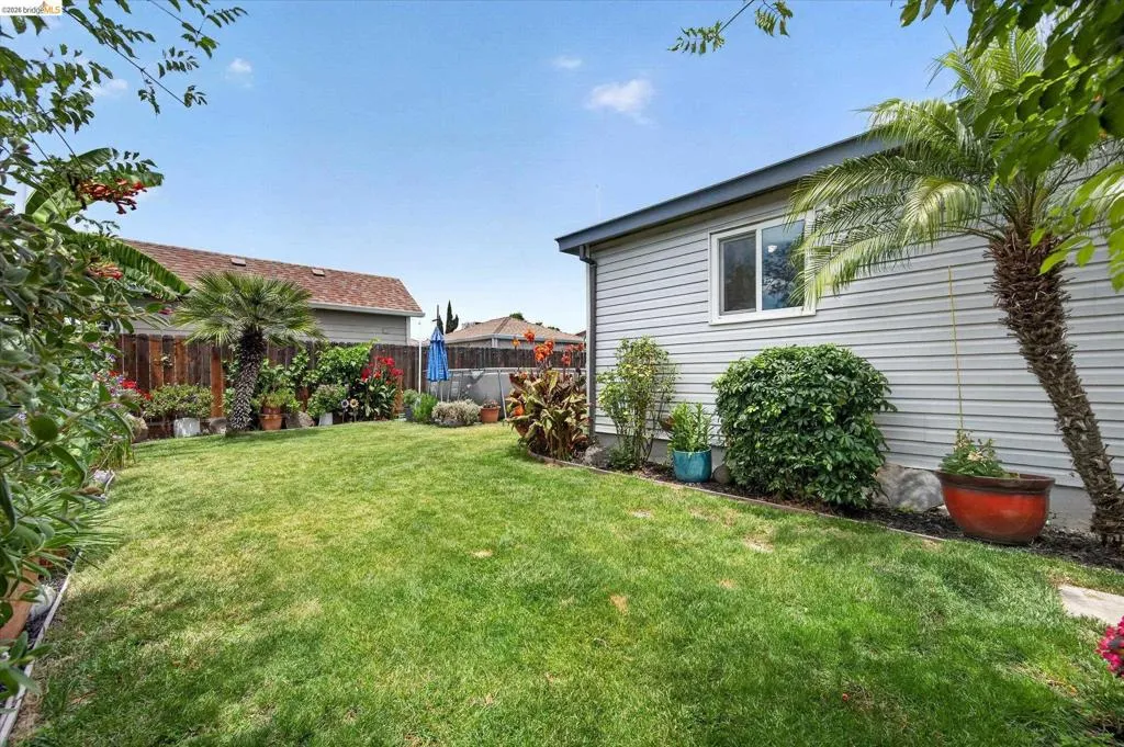 Expansive green lawn with surrounding mature landscaping and palm trees