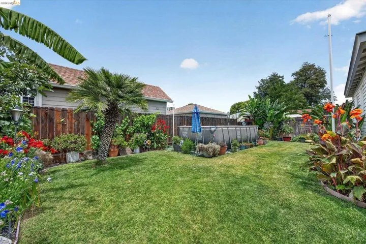 Expansive backyard featuring a lush lawn, privacy fencing, mature palm trees, and an above-ground pool