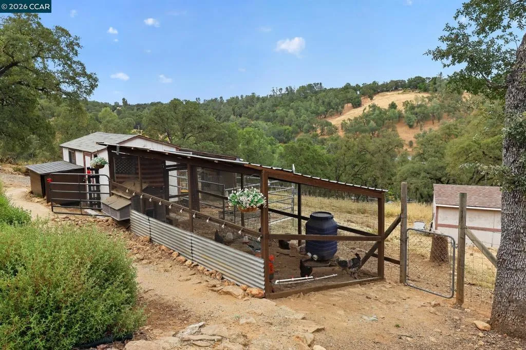 Chicken Coop
