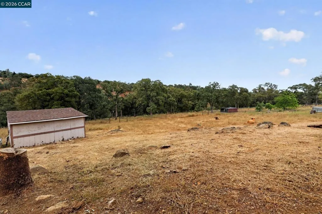 Middle Acre