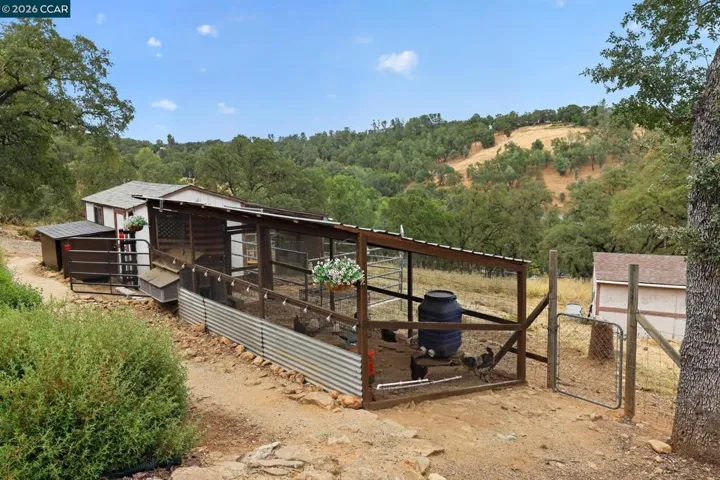Chicken Coop