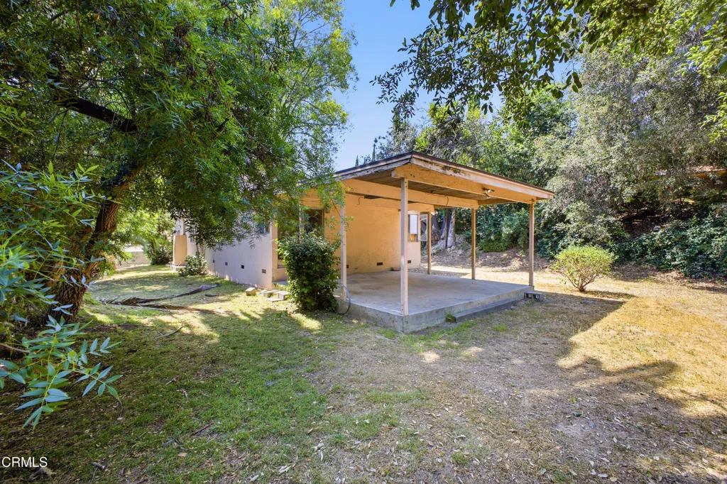 14 - Orange Grove (534)