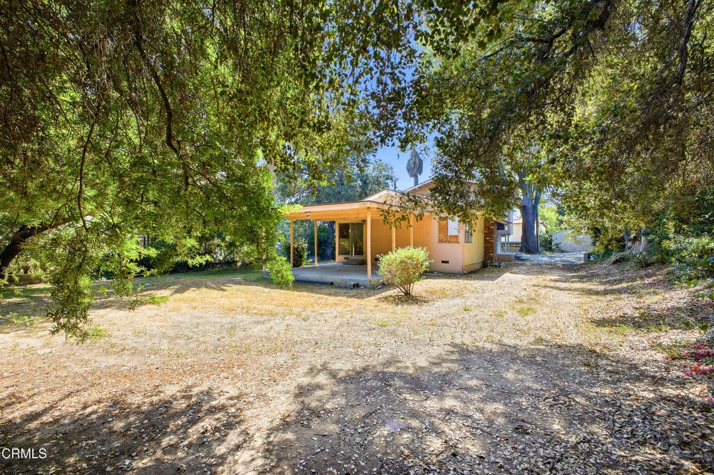 15 - Orange Grove (534)