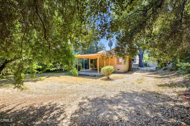 15 - Orange Grove (534)