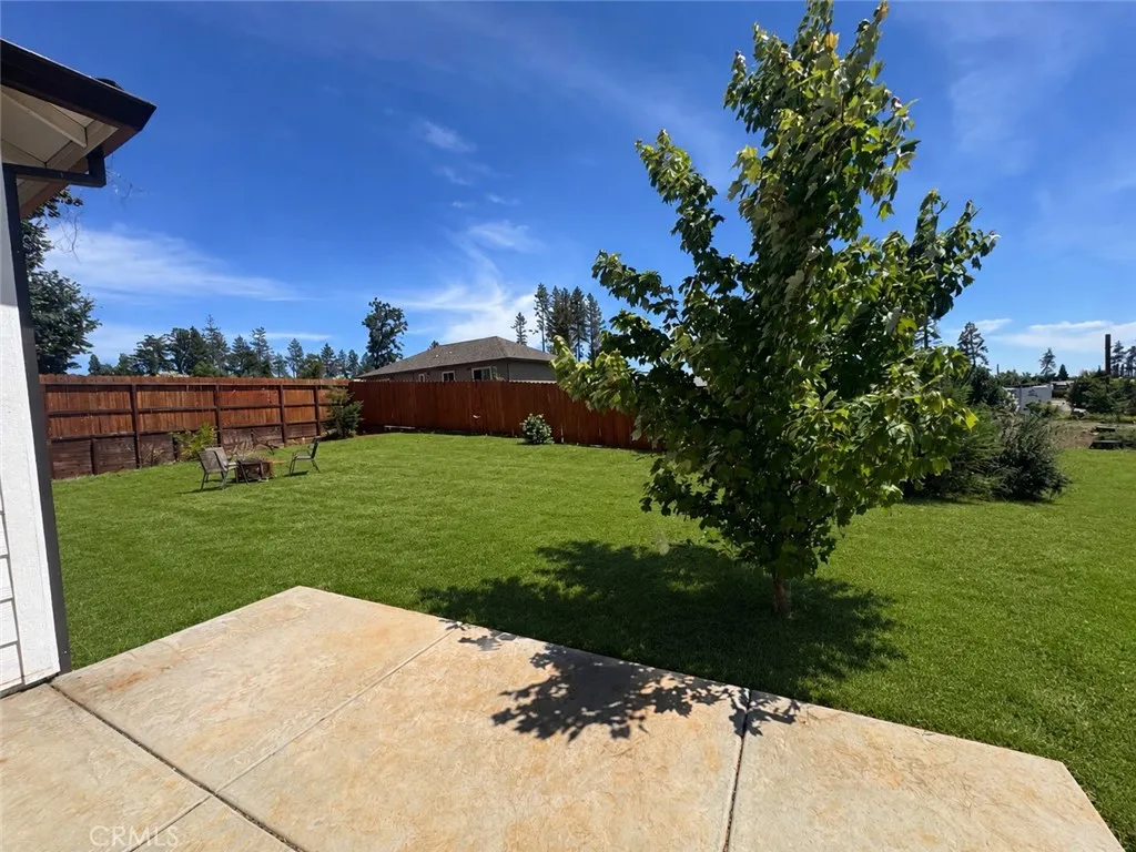 AI PIC of yard with grass

