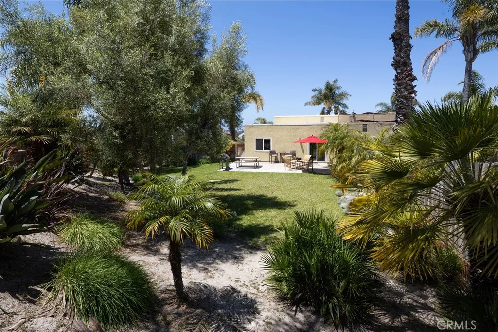 Large backyard