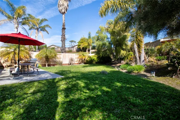 Backyard grassy area