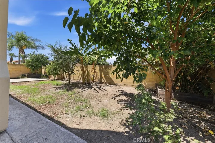 Back yard
